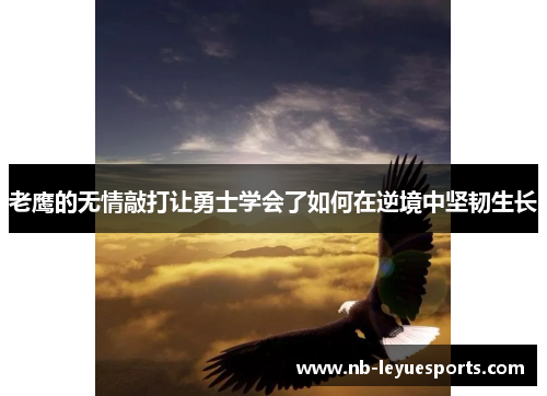 老鹰的无情敲打让勇士学会了如何在逆境中坚韧生长 老鹰的无情敲打让勇士学会了如何在逆境中坚韧生长