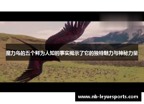 魔力鸟的五个鲜为人知的事实揭示了它的独特魅力与神秘力量 魔力鸟的五个鲜为人知的事实揭示了它的独特魅力与神秘力量