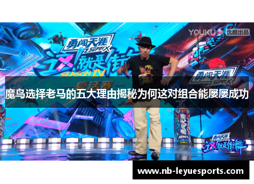 魔鸟选择老马的五大理由揭秘为何这对组合能屡屡成功 魔鸟选择老马的五大理由揭秘为何这对组合能屡屡成功