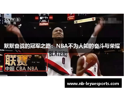 默默奋战的冠军之路:NBA不为人知的奋斗与荣耀 默默奋战的冠军之路:NBA不为人知的奋斗与荣耀