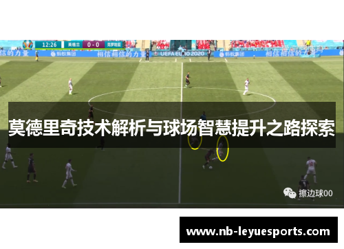 莫德里奇技术解析与球场智慧提升之路探索